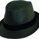 TOYO TRILBY