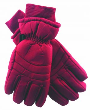 LADIES WATERPROOF SKI GLOVE WITH - PACK OF 24 ASSORTED